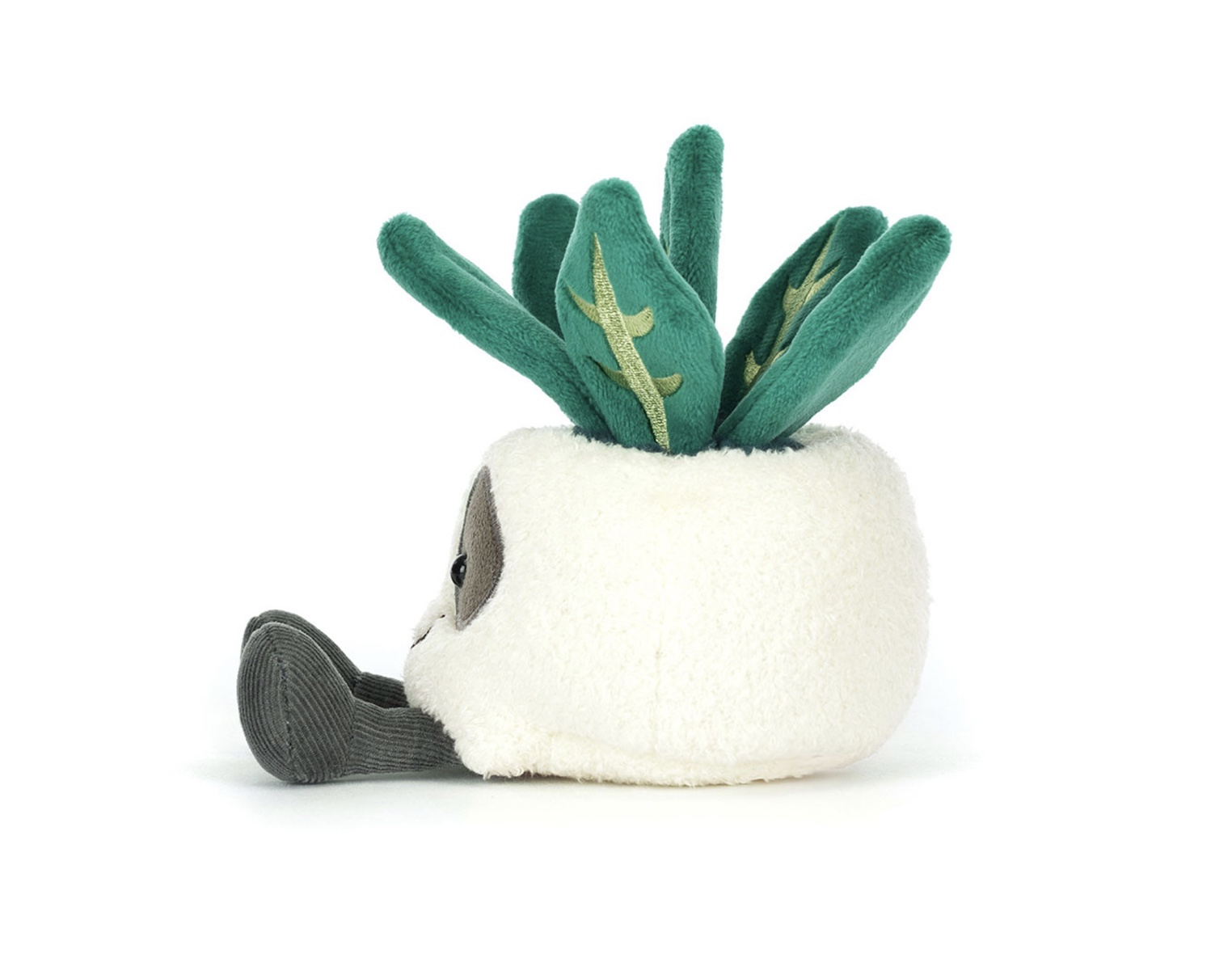 Image 16-09-2025 at 13.11 (1)