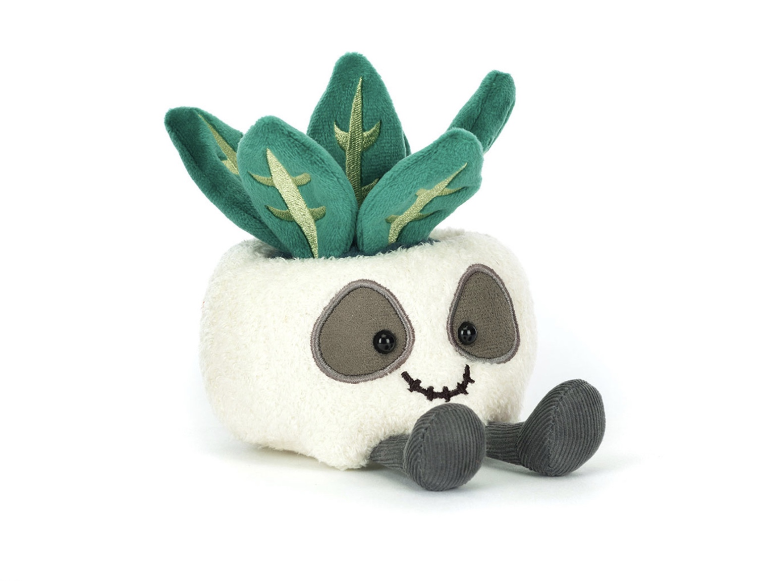 Image 16-09-2025 at 13.11