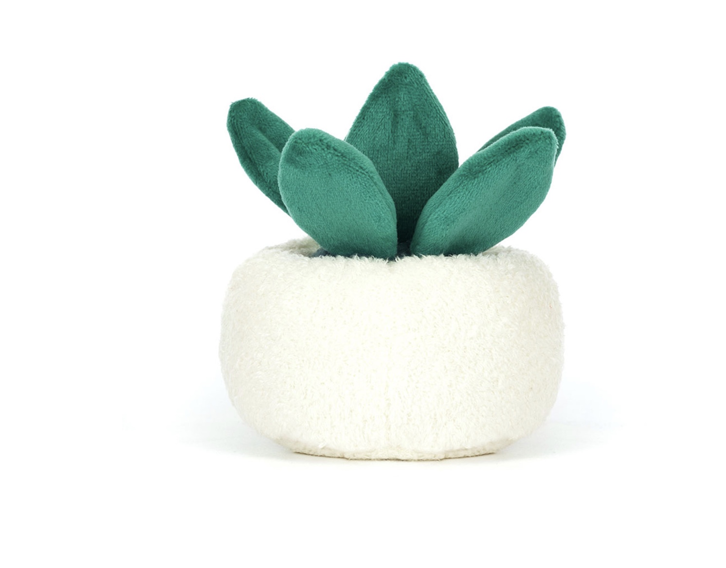 Image 16-09-2025 at 13.12