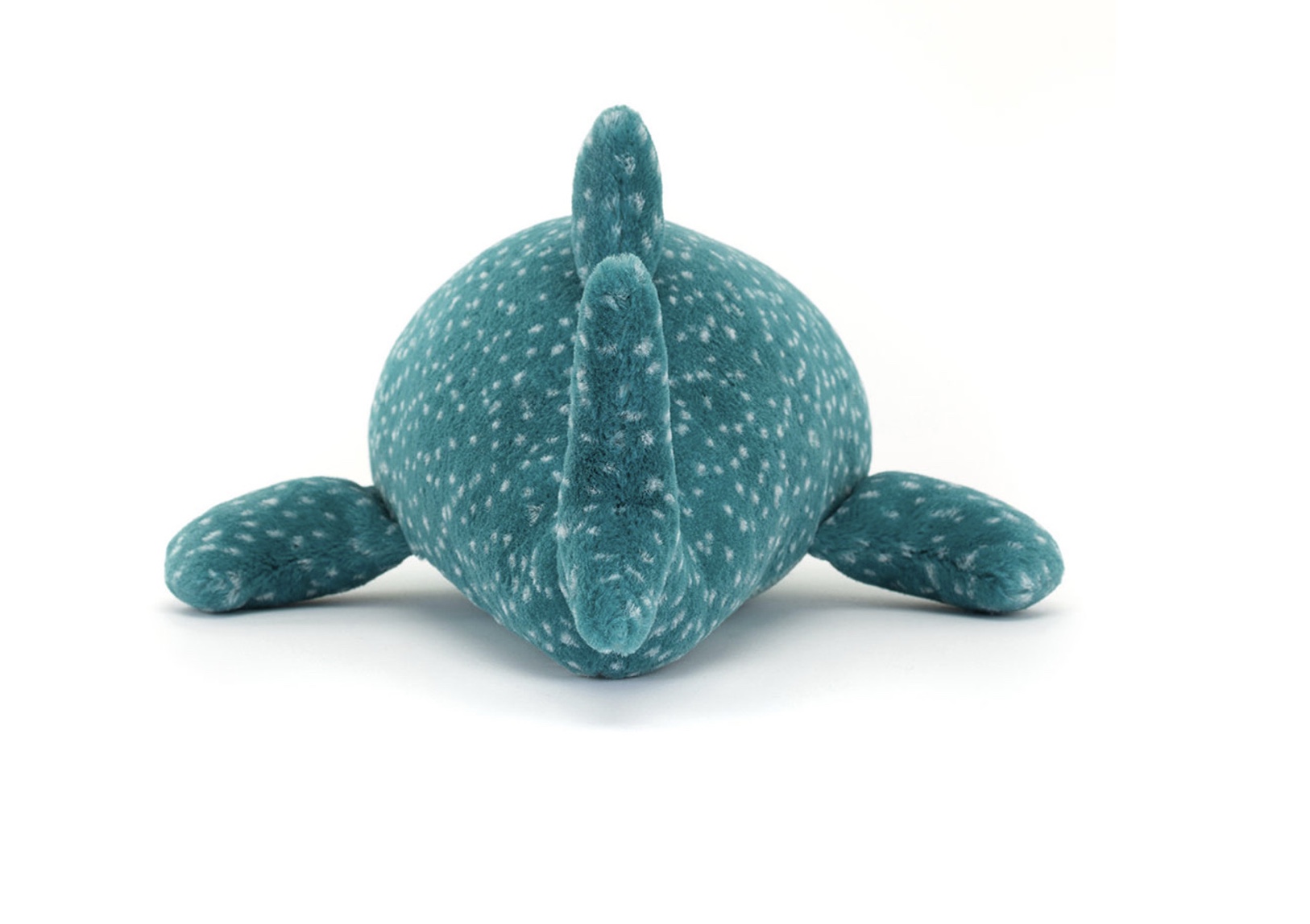 Image 18-09-2025 at 10.06 (1)