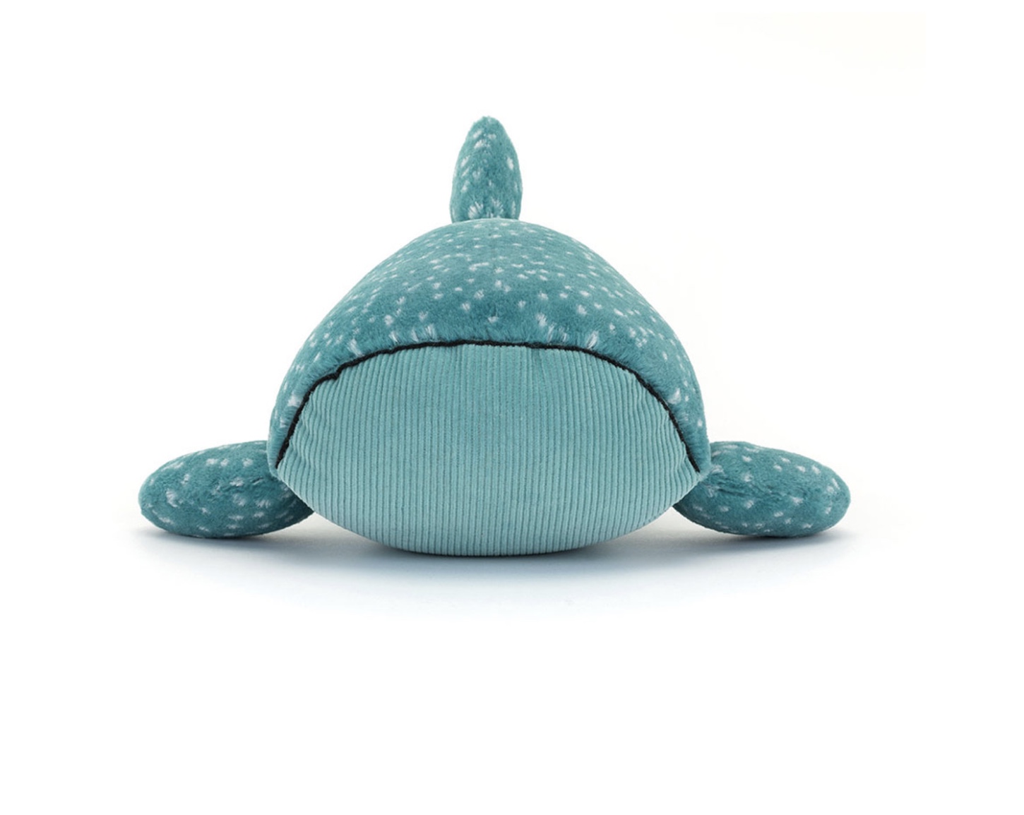 Image 18-09-2025 at 10.06 (2)