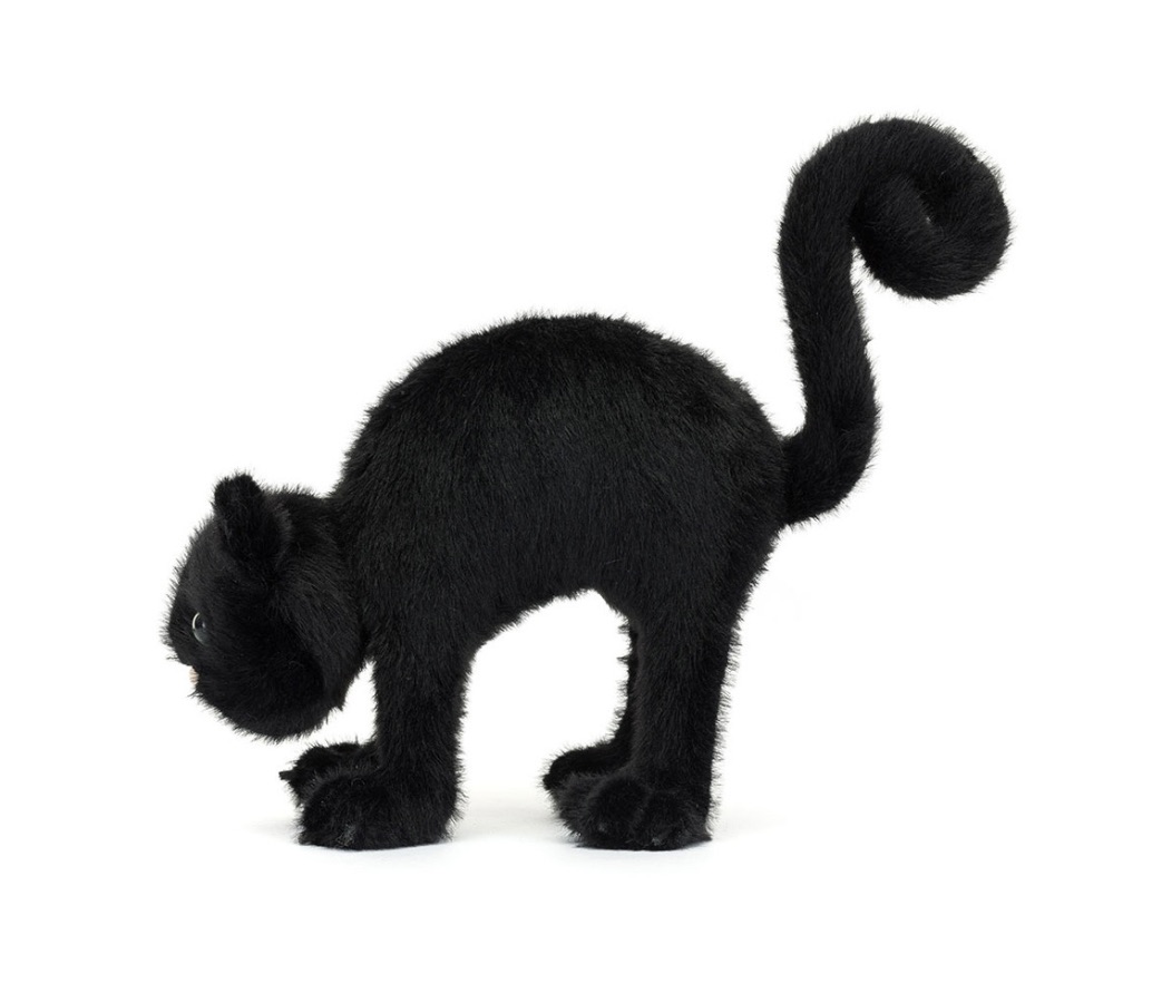 Image 30-10-2025 at 11.34 (1)