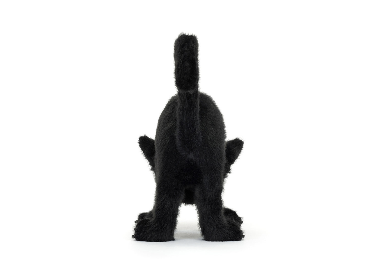 Image 30-10-2025 at 11.34 (2)