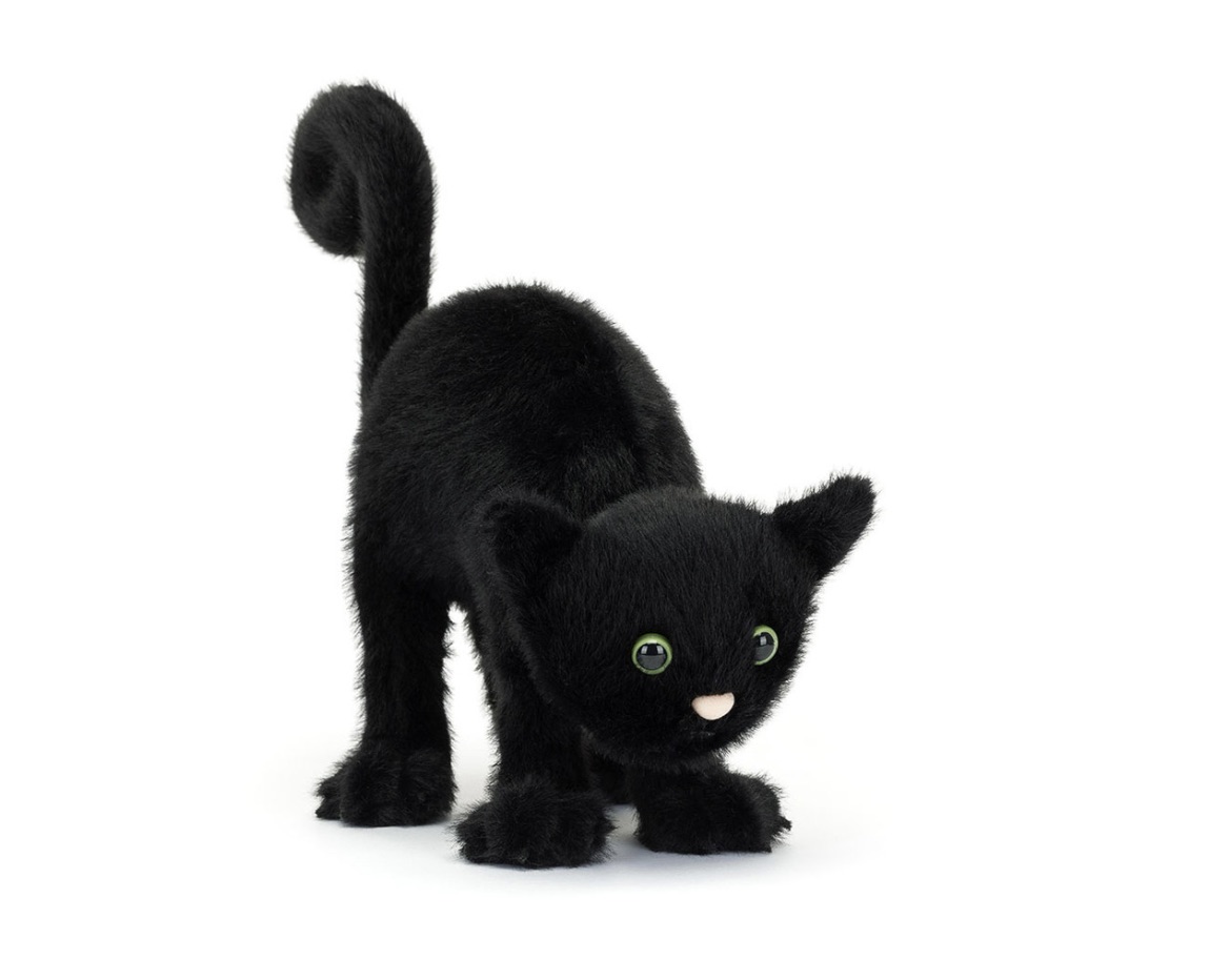 Image 30-10-2025 at 11.34