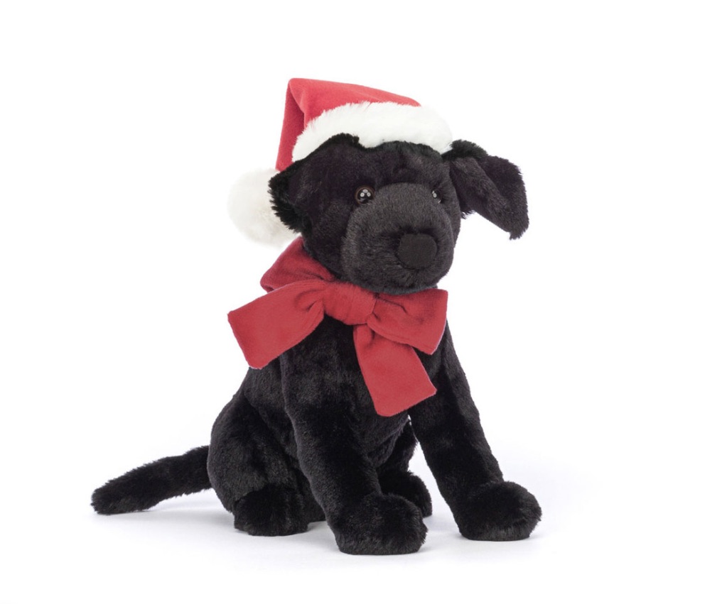 Image 04-11-2025 at 10.37