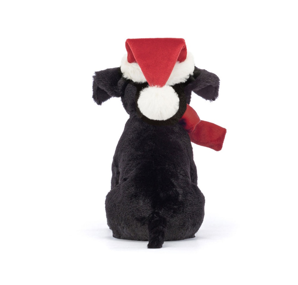 Image 04-11-2025 at 10.39 (1)