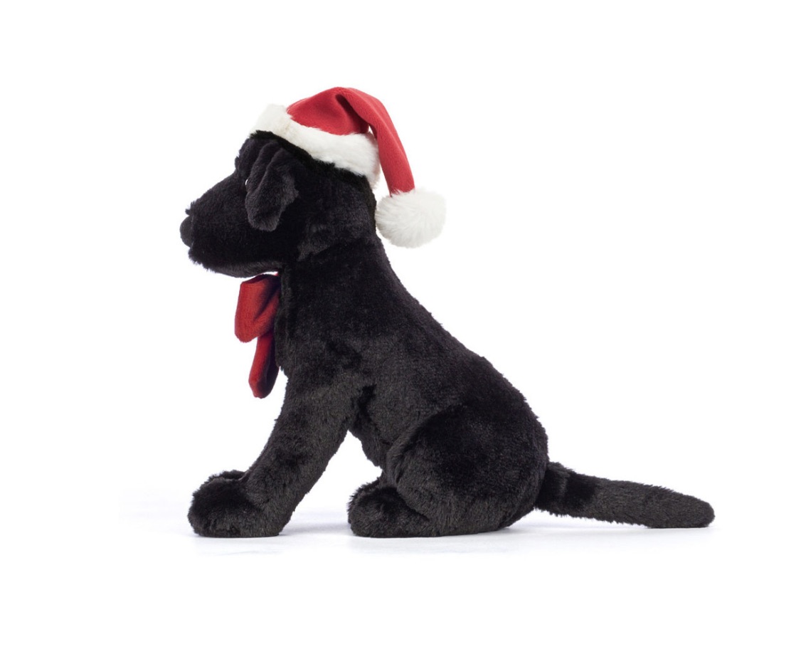 Image 04-11-2025 at 10.39